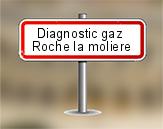 Diagnostic gaz à Roche la Molière